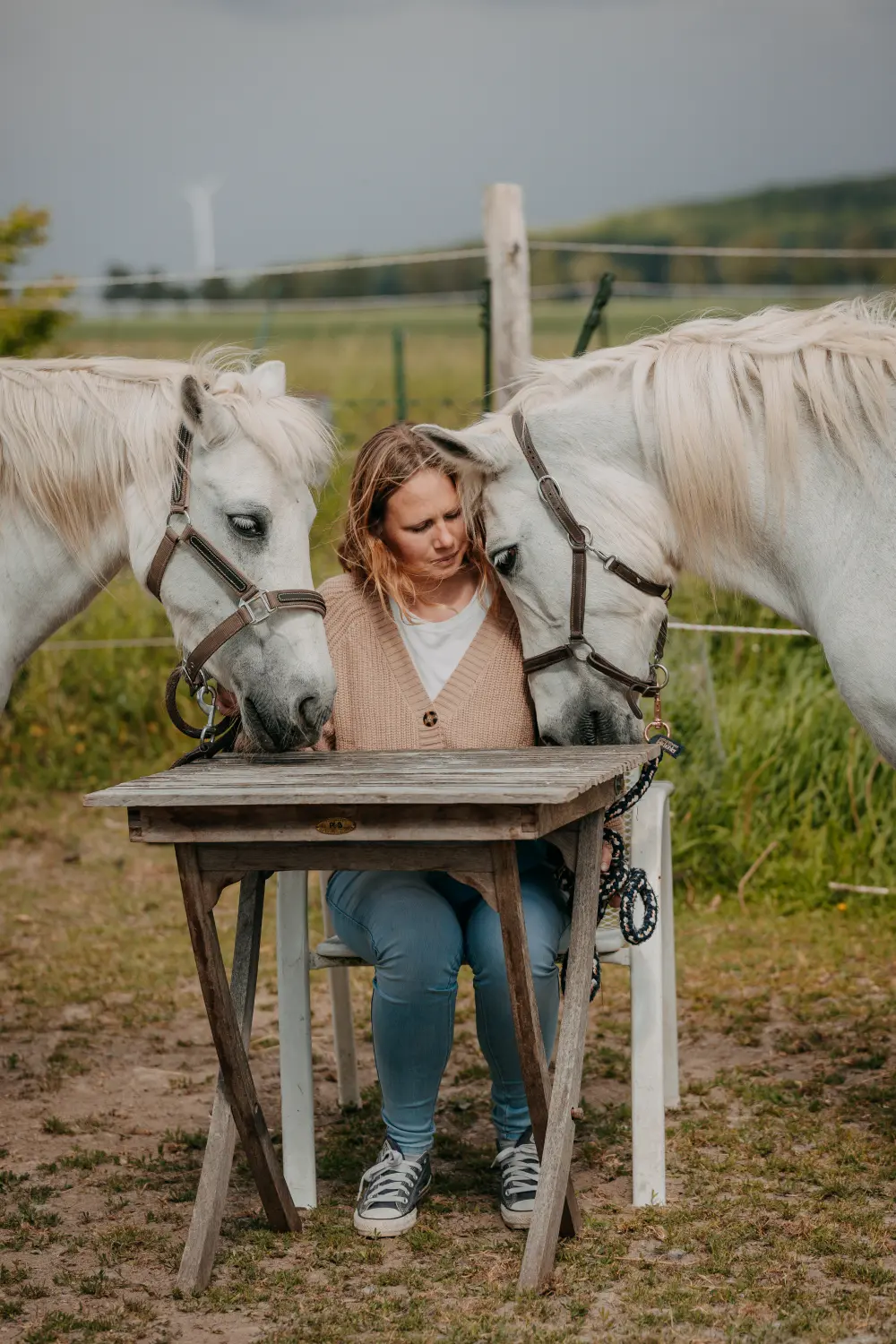 systemische Beratung