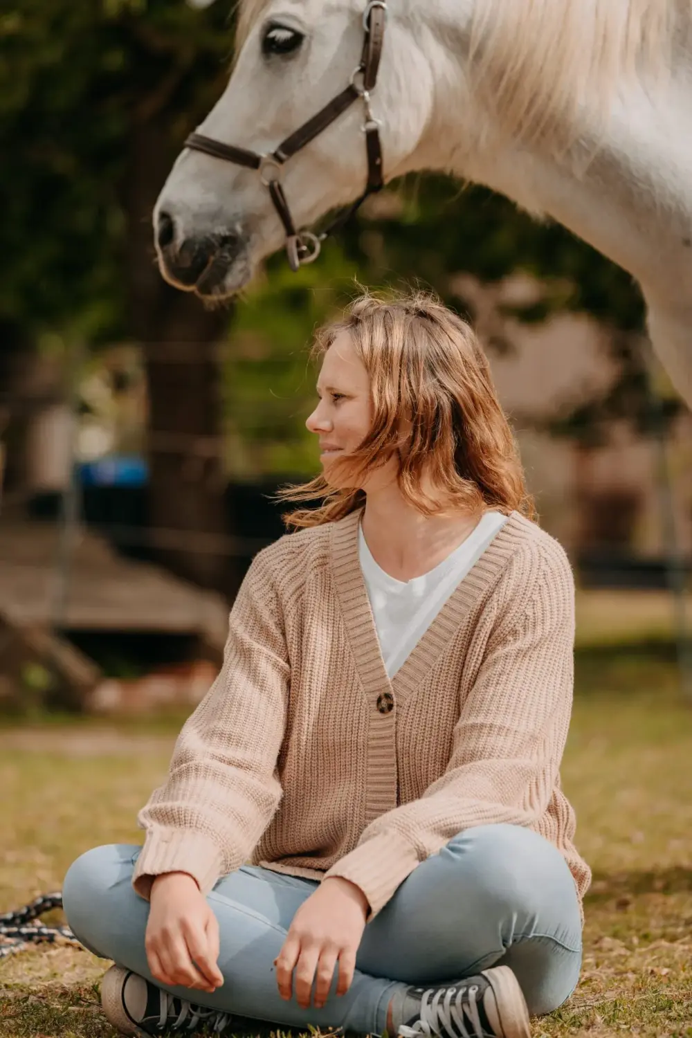 pferdegestütztes Coaching  Springe